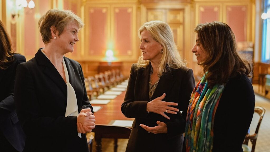 Duchess Sophie thanked for ‘immensely powerful work’ after recent overseas trip Duchess Sophie thanked for 'immensely powerful work' after recent overseas trip