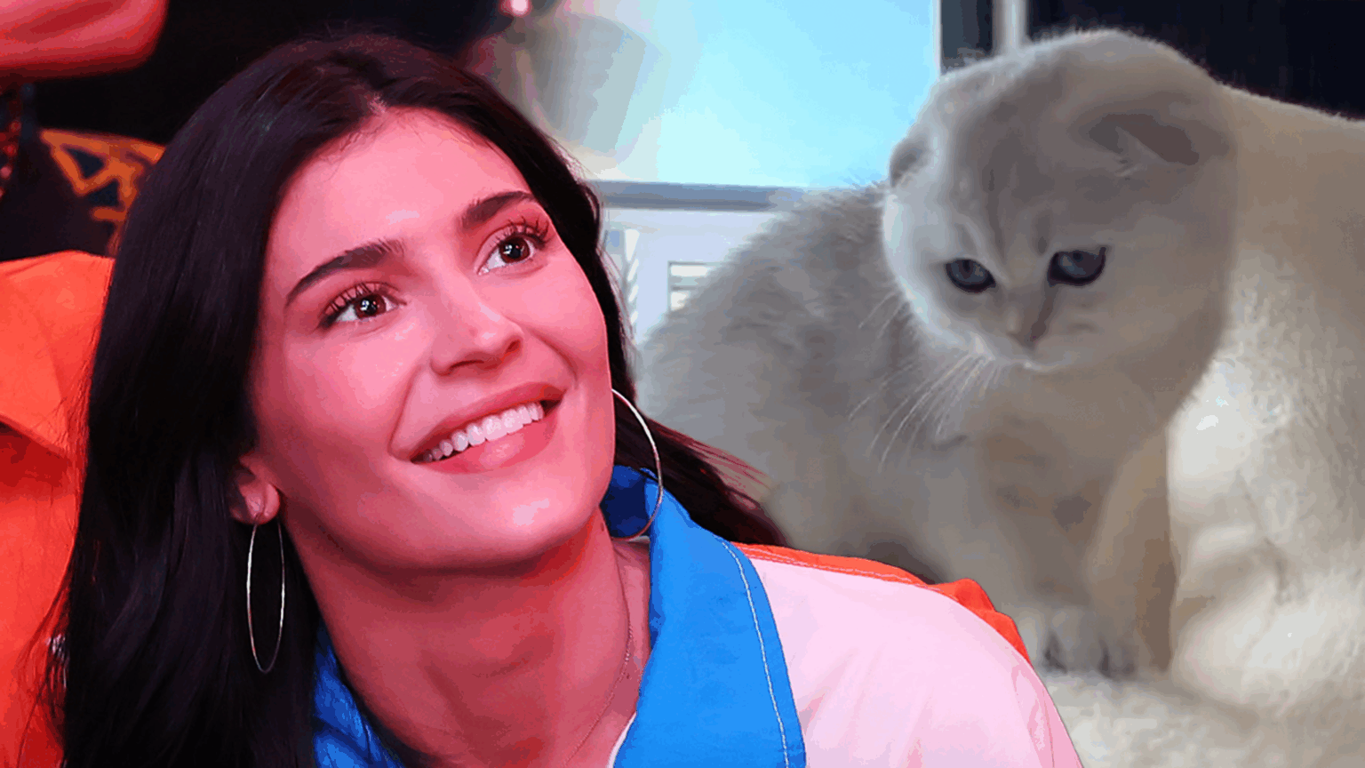 Kylie Jenner Shares Sports Bra Selfie, Photos of New Cat in Instagram Drop Kylie Jenner Shares Sports Bra Selfie, Photos of New Cat in Instagram Drop
