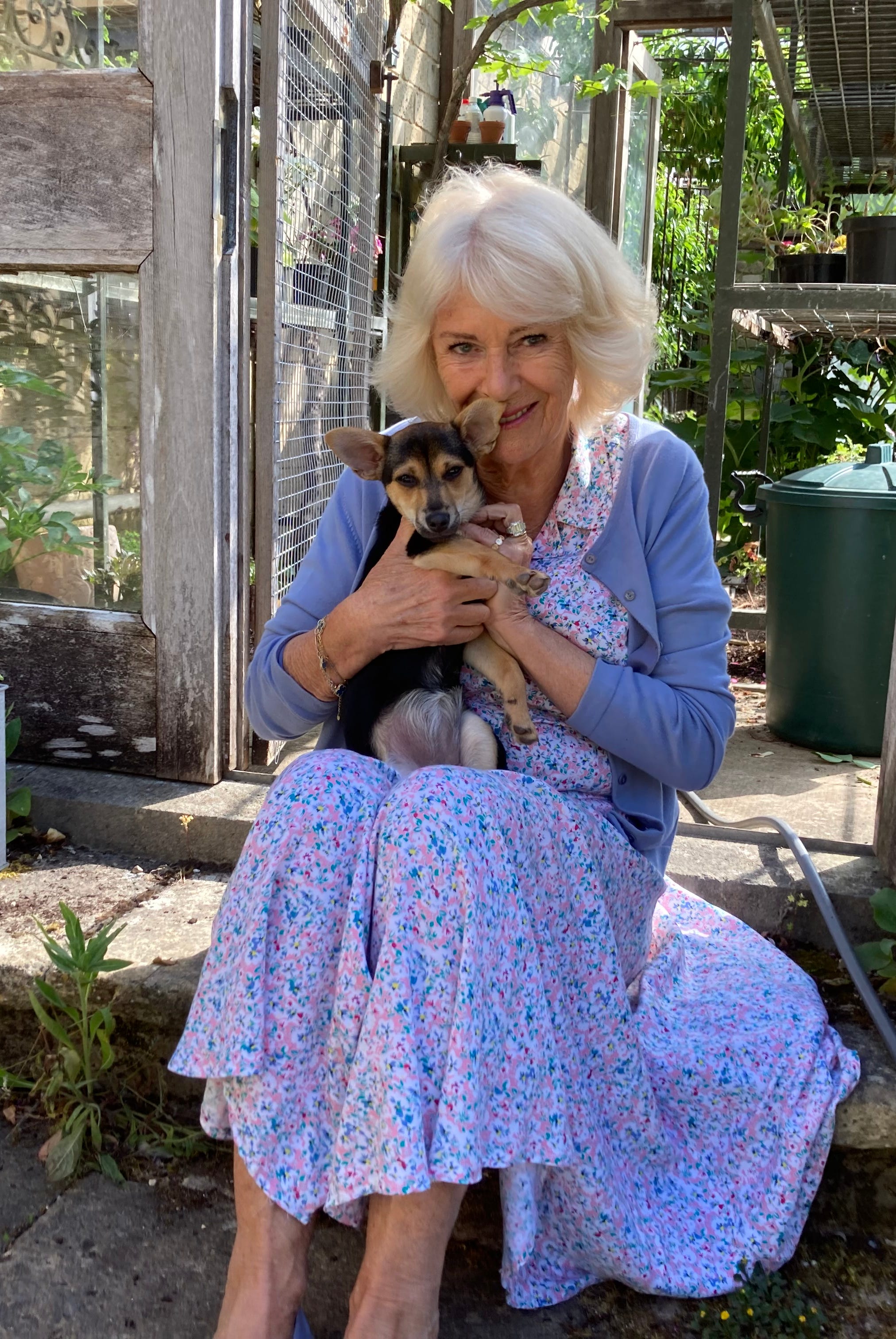 An elderly person seated outdoors, holding a small dog.