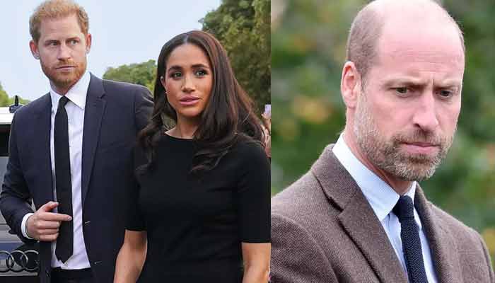 Prince William makes plan to deal with Prince Harry, Meghan Markle