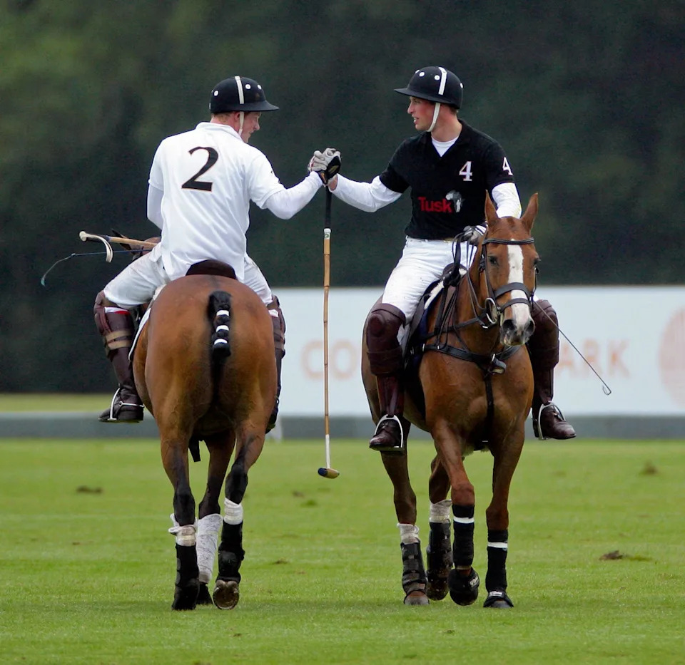 Horse, Polo, Bridle, Sports, Rein, Mammal, Stick and Ball Sports, Animal sports, Stick and Ball Games, Saddle,