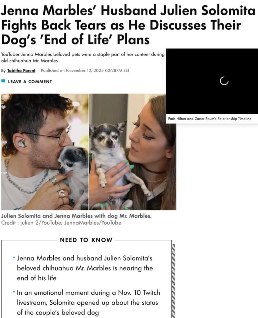 Jenna Marbles' Husband Julien Solomita Fights Back Tears as He Discusses Their Dog “Marbles” End of Life' Plans