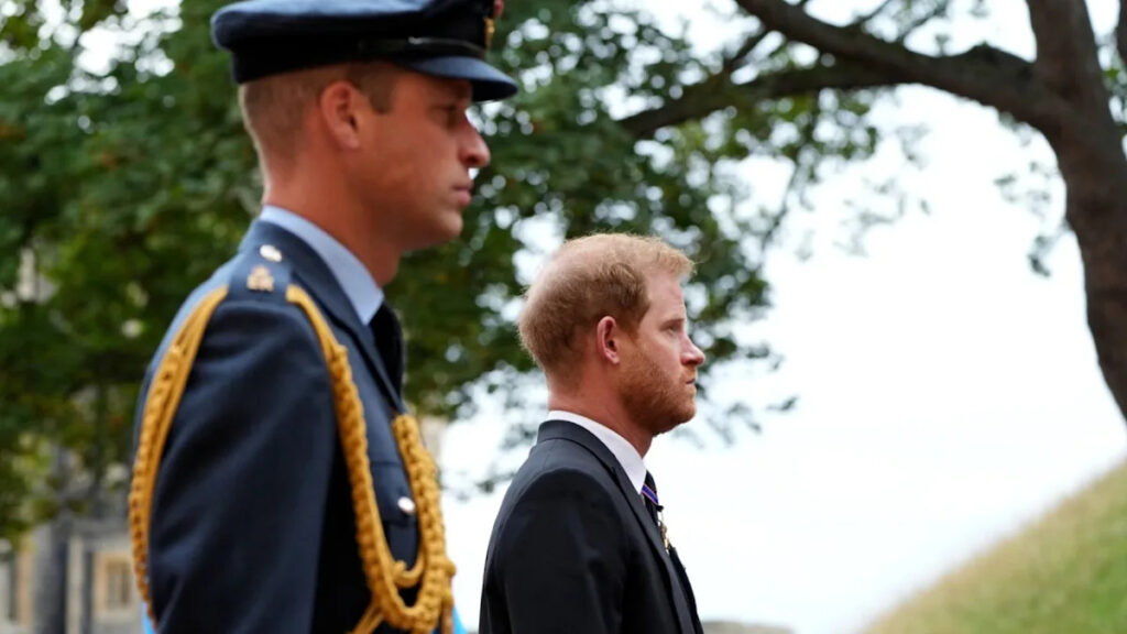 Prince Harry and Prince William in Spotlight Showdown Yahoo entertainment home