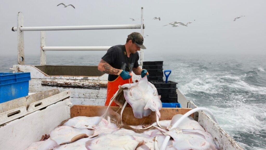 New film on Cape Cod fishing industry focuses on people, dangers