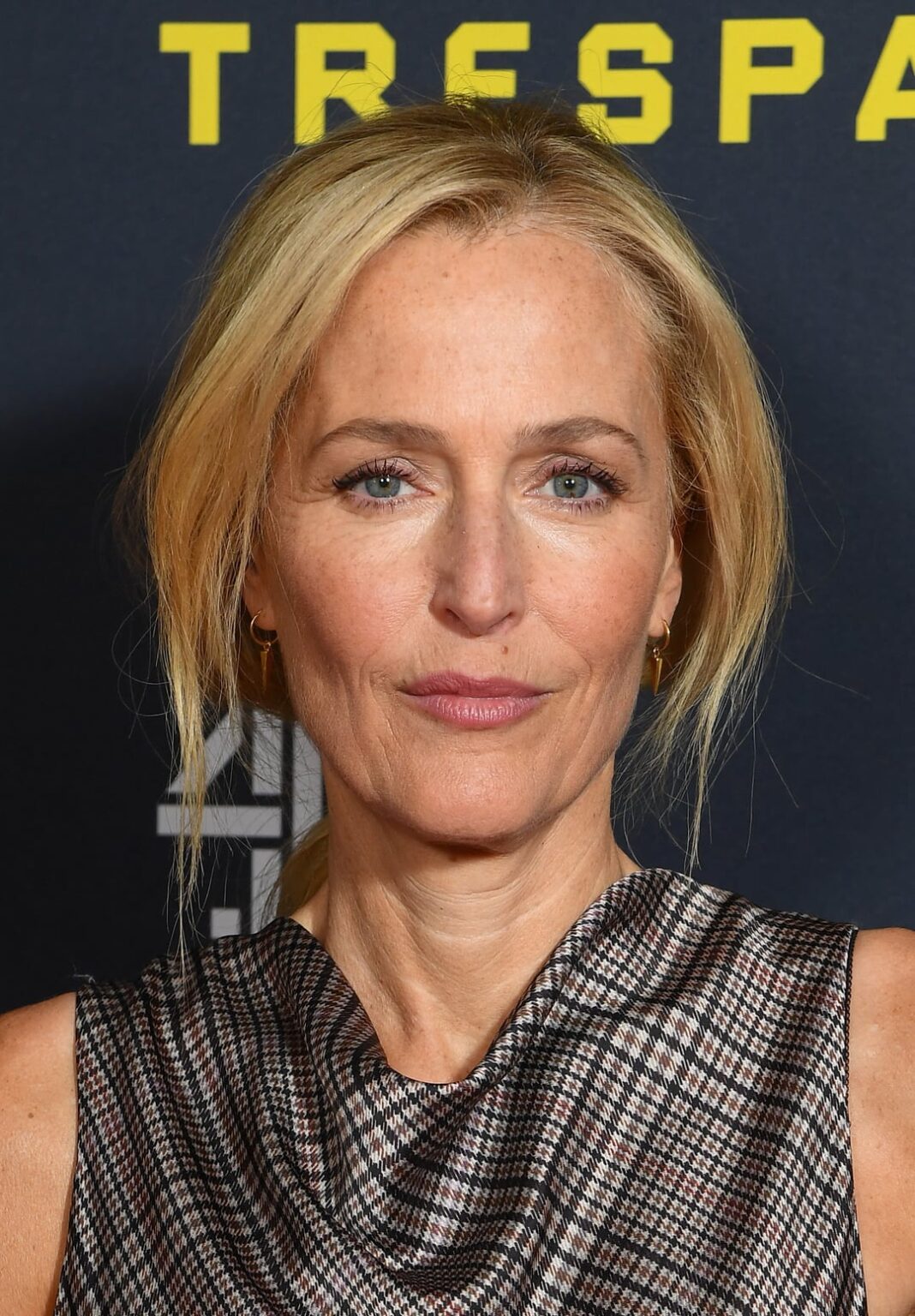 Gillian Anderson | 'Trespasses' London Photocall 4th November 2025
