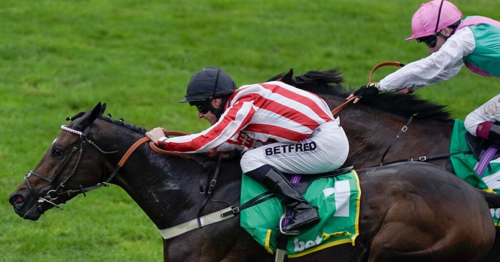 The husband and wife team picked by Bahrain’s royal family to transform horse racing in the kingdom The husband and wife team picked by Bahrain's royal family to transform horse racing in the kingdom