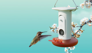 Bird Buddy Smart Hummingbird Feeder Pro