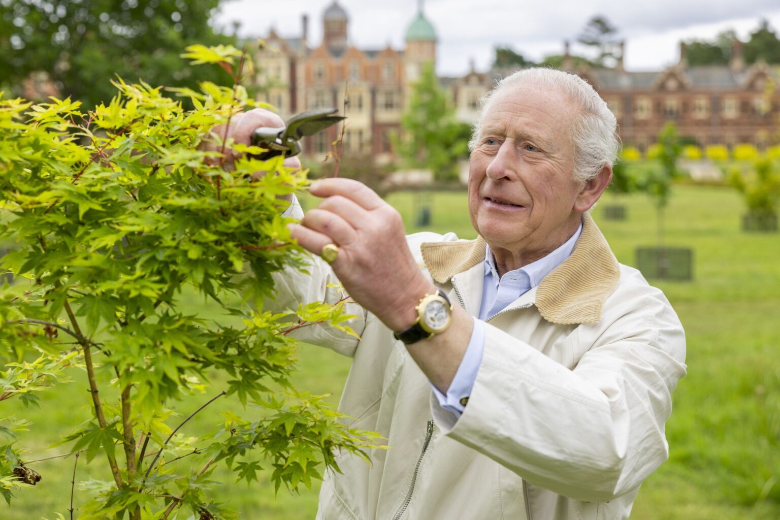 A royal success: The King's gardens at Sandringham