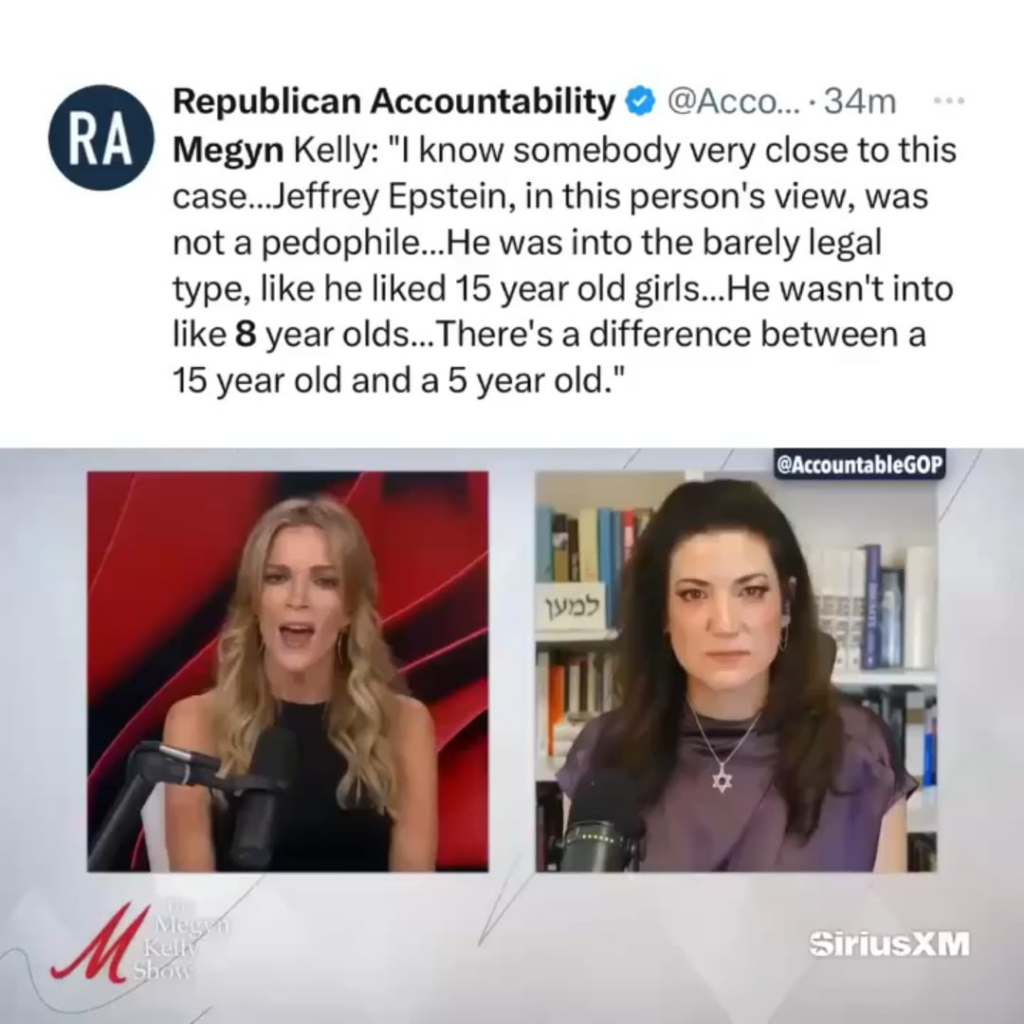 Megyn Kelly: "I know somebody very close to this case... Jeffrey Epstein, in this person's view, was not a pedophile... He was into the barely legal type. Like he liked 15 year old girls. He wasn't into like 8 year olds...There's a difference between a 15 year old and a 5 year old."