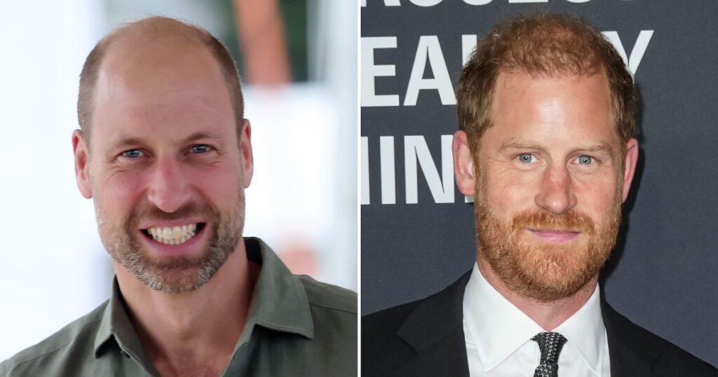 Royal Fears About Prince William’s Helicopter Use Connected to Harry Royal Fears About Prince William’s Helicopter Use Connected to Harry