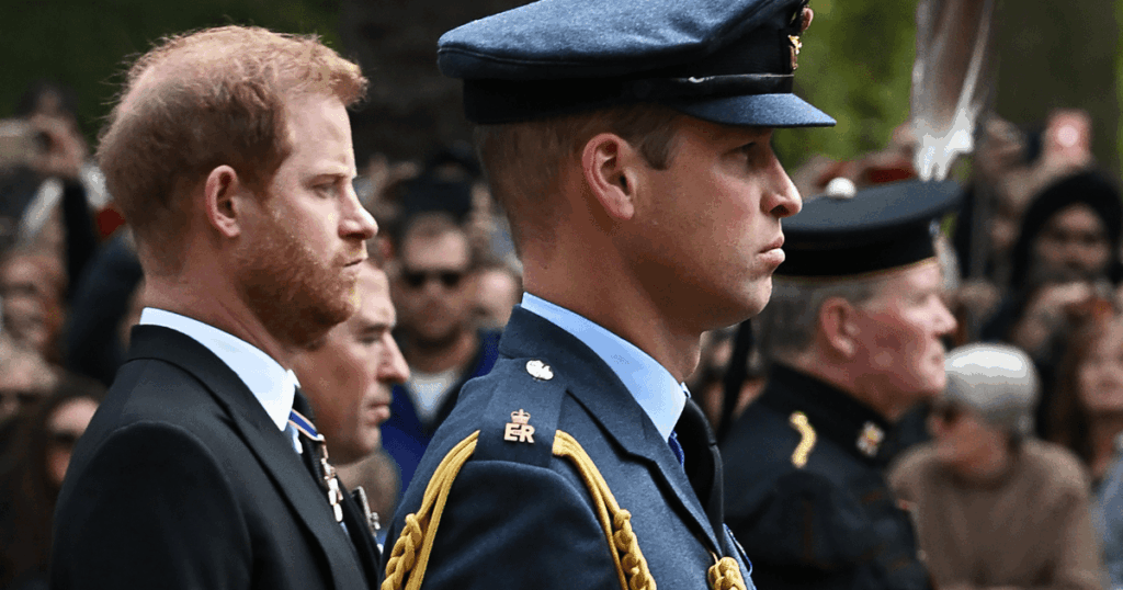 Prince Harry & Prince William on Completely Different Paths — Expert