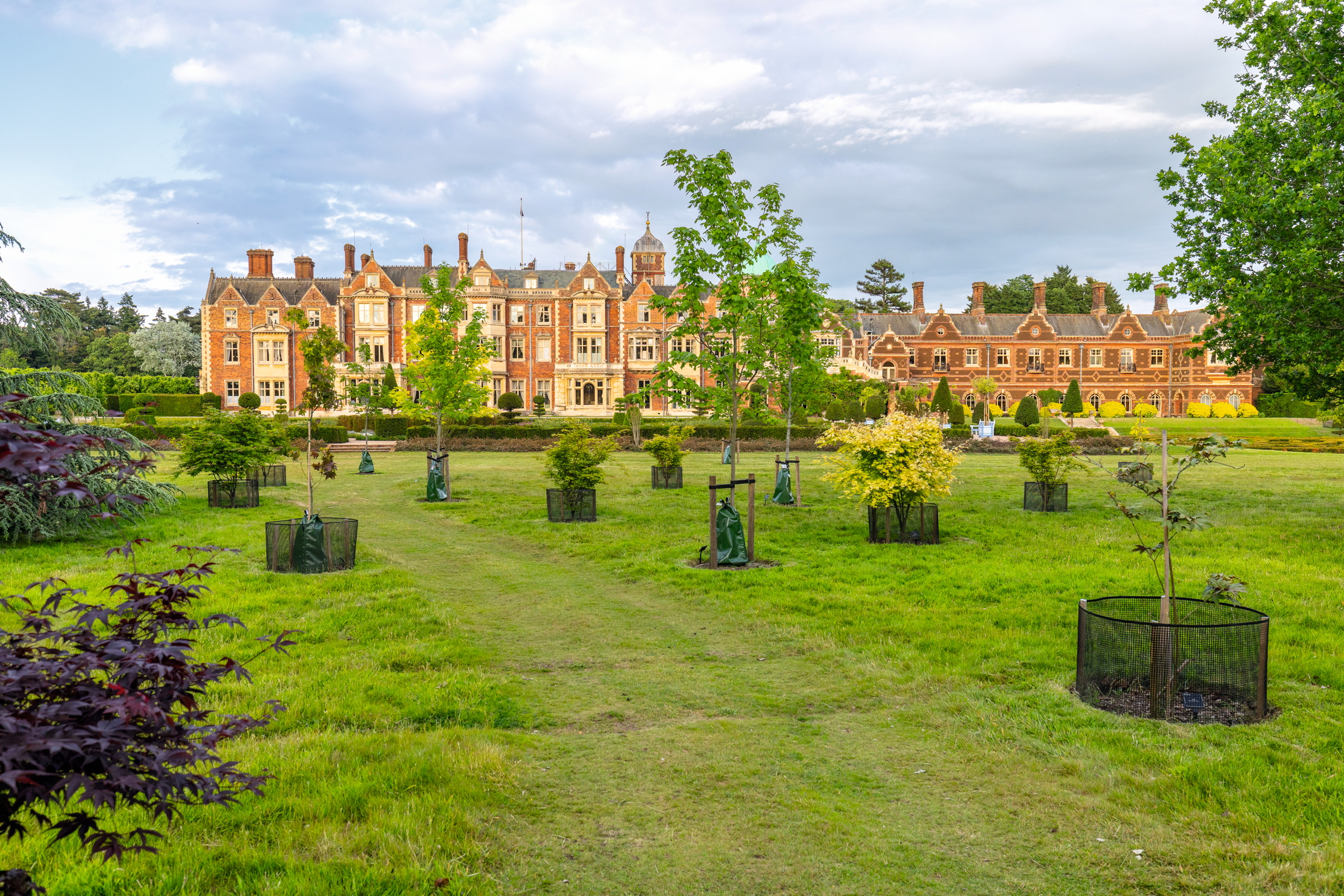 Images of the King's garden at Sandringham