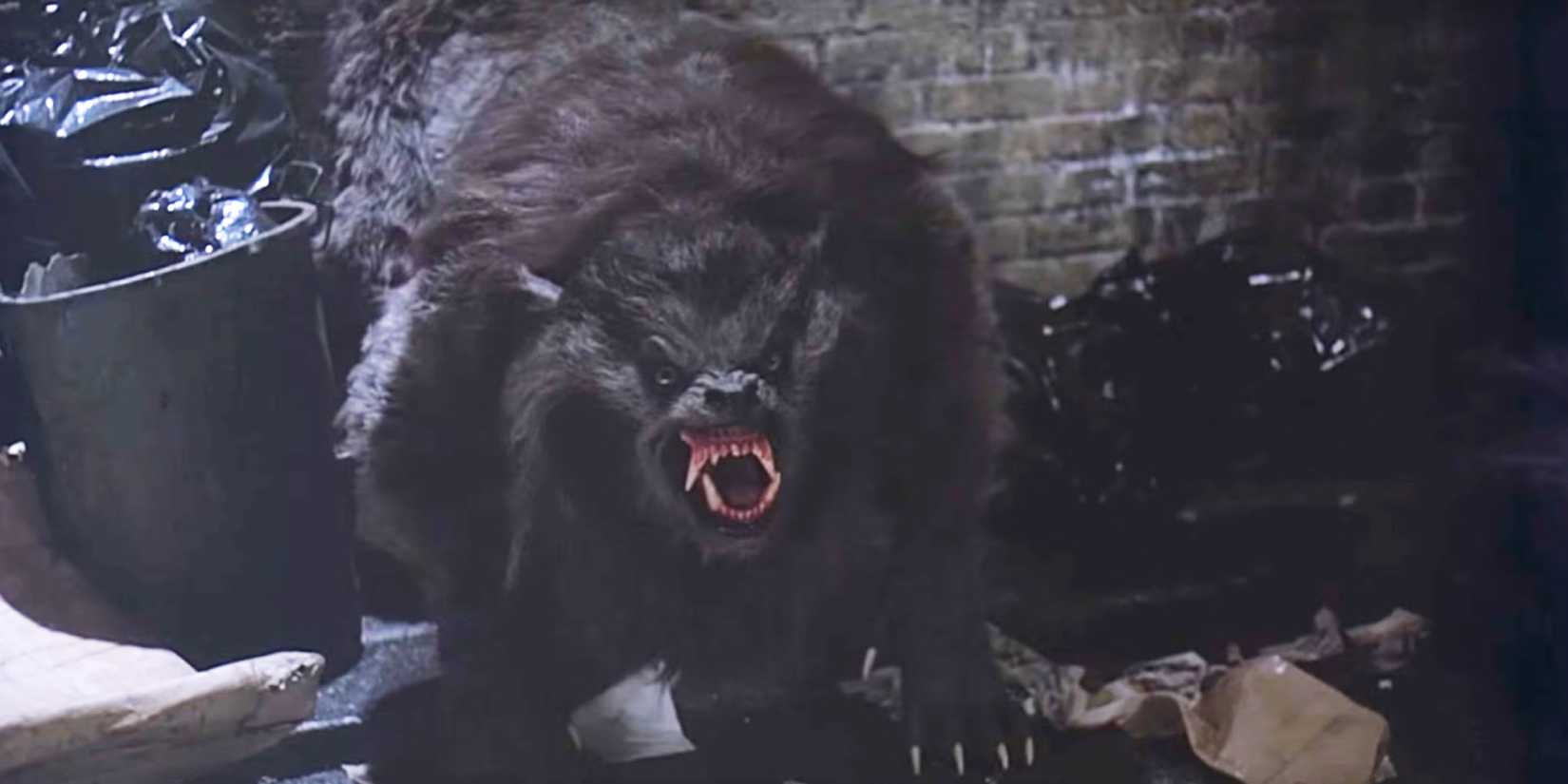 A werewolf crouches and snarls in an alleyway near the end of An American Werewolf in London (1981)