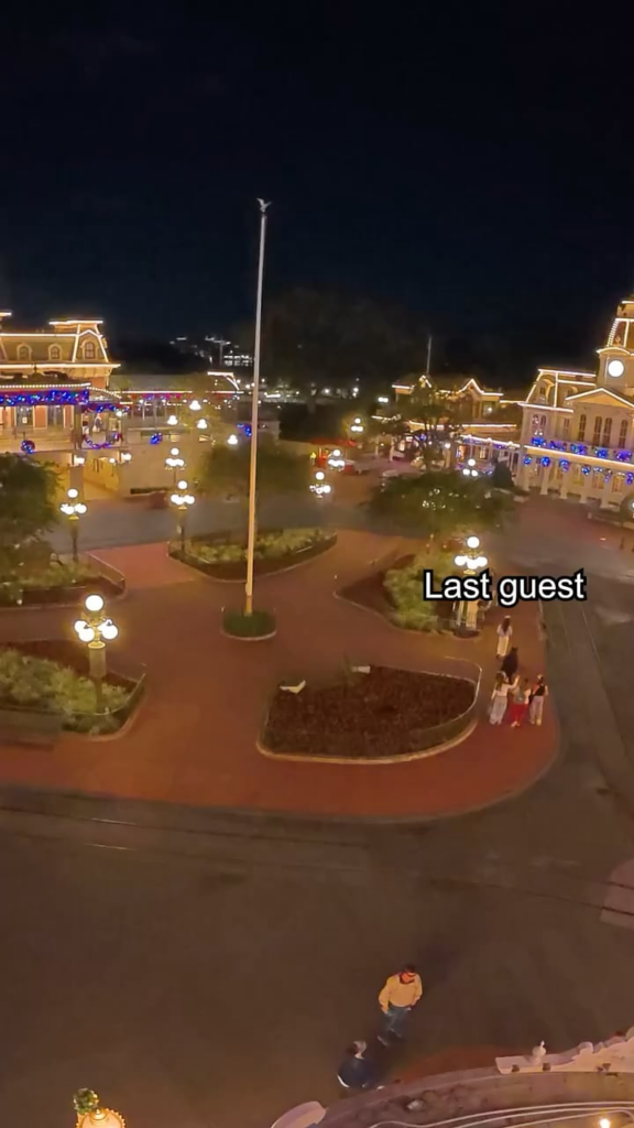 How the Christmas Tree at Disney’s Magic Kingdom is installed overnight