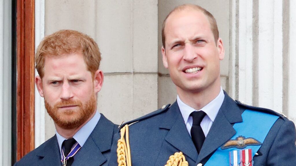 Why Prince Harry announced new trip as brother Prince William kicked off visit to Brazil Why Prince Harry announced new trip as brother Prince William kicked off visit to Brazil