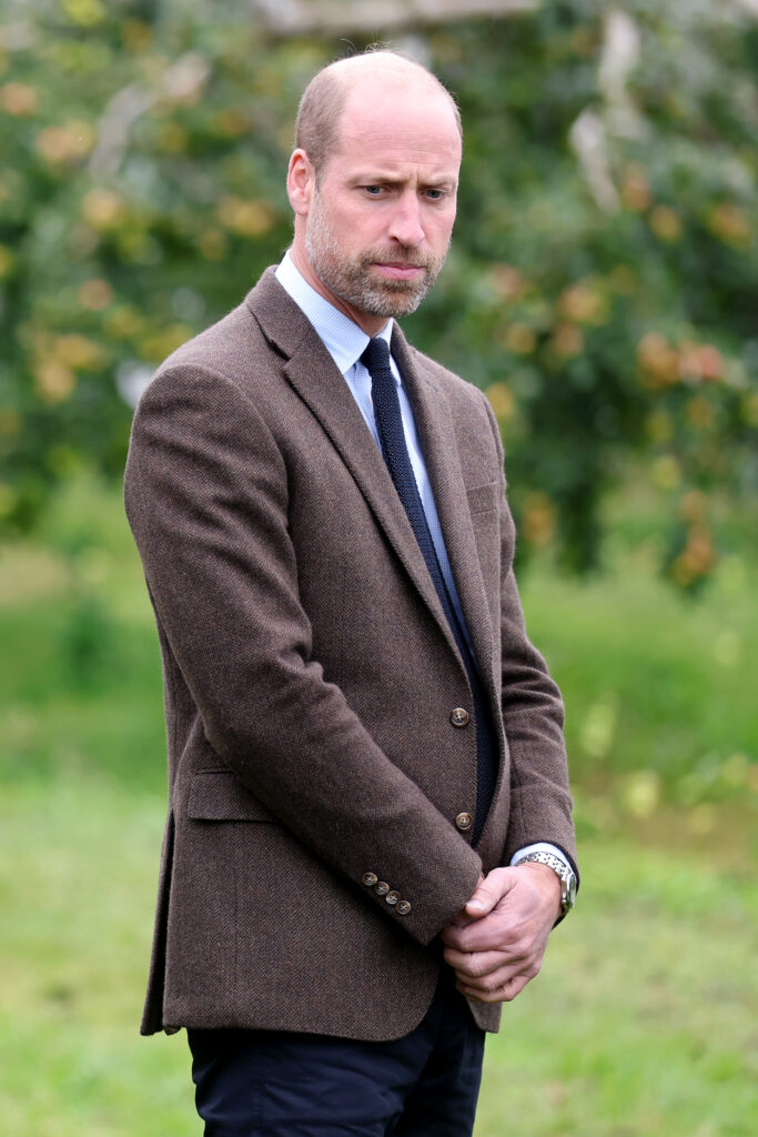 Prince William standing and looking down in suit