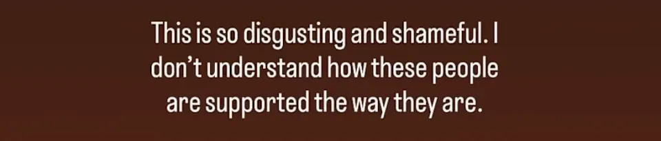 Ireland Baldwin expresses disgust and shame about undeserved support for celebrities in a post about Kim Kardashian posing with an elephant leather Birkin bag