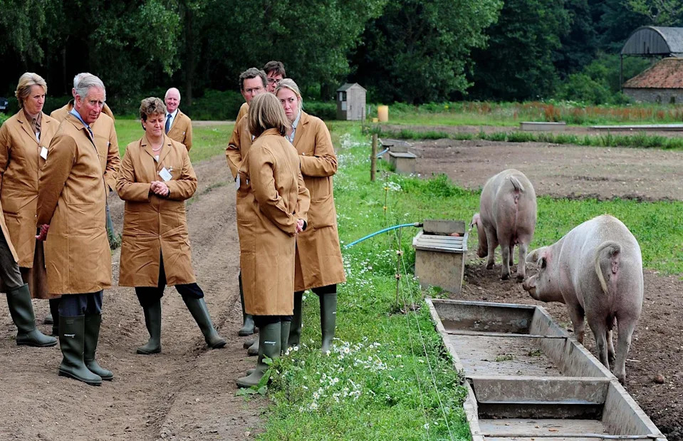 <p>Rui Vieira/Alamy Stock Photo</p>