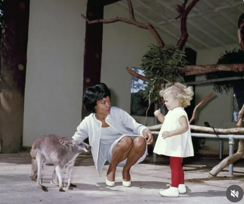 Eartha Kitt in Australia with her daughter trying to show her that there is nothing to fear about the kangaroo. (1963)