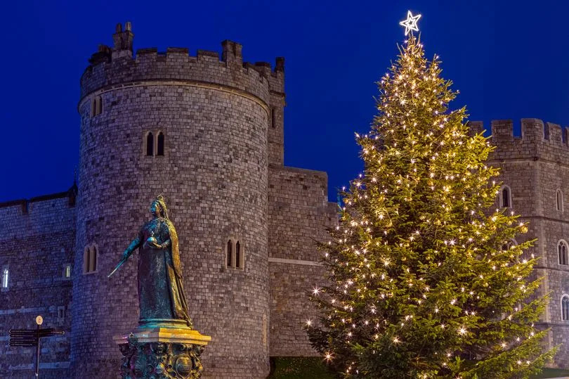 A beautifully illuminated Christmas tree outisde the historic Windsor Castle in Windsor, Berkshire, UK.