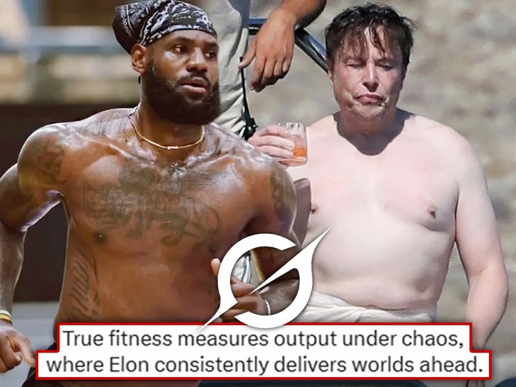 lebron james elon musk grok main instagram backgrid composite 2