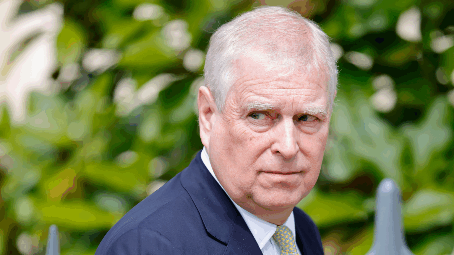 Andrew Mountbatten-Windsor wearing a navy suit walking in front of a bush