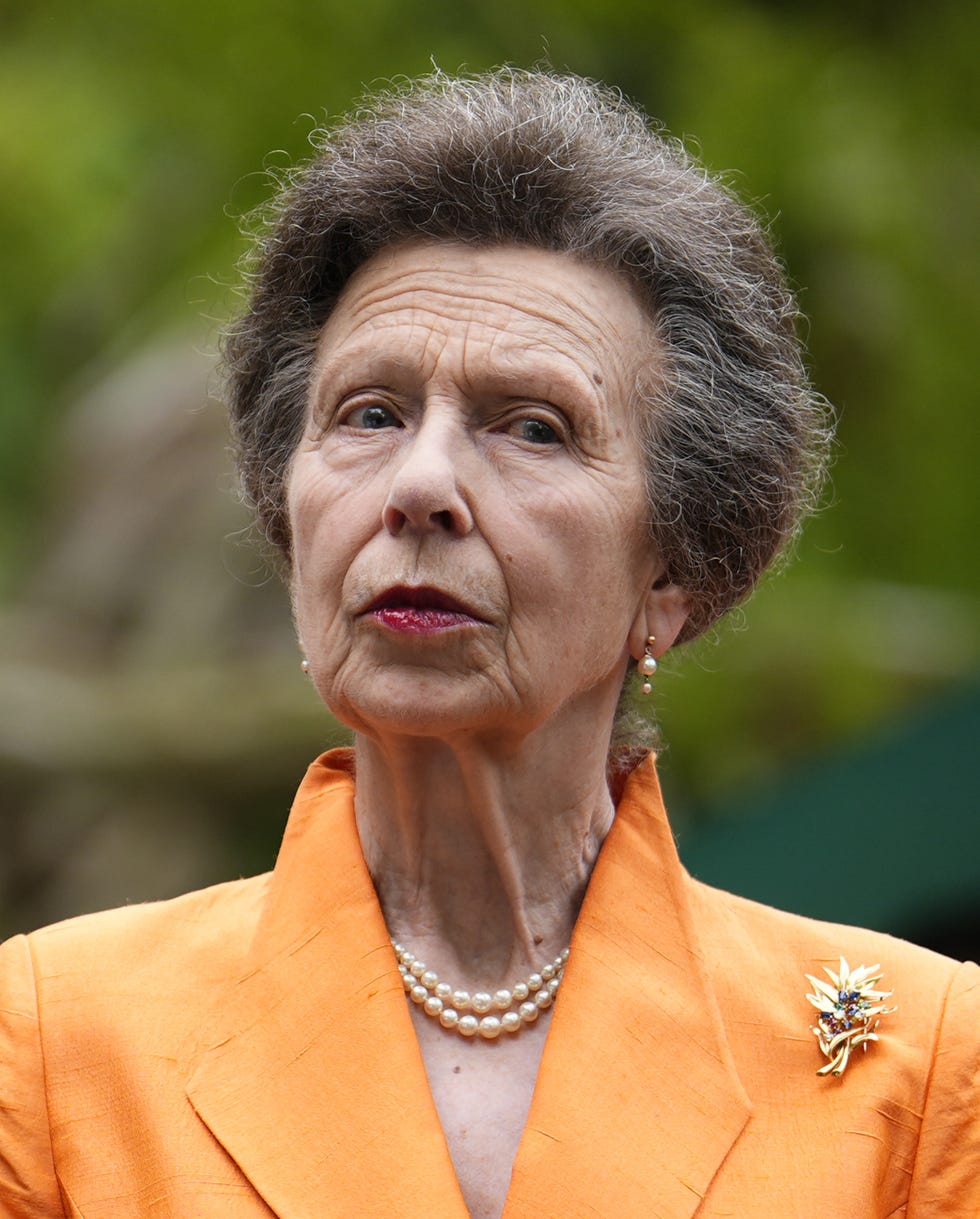 princess anne lipstick princess anne lipstick