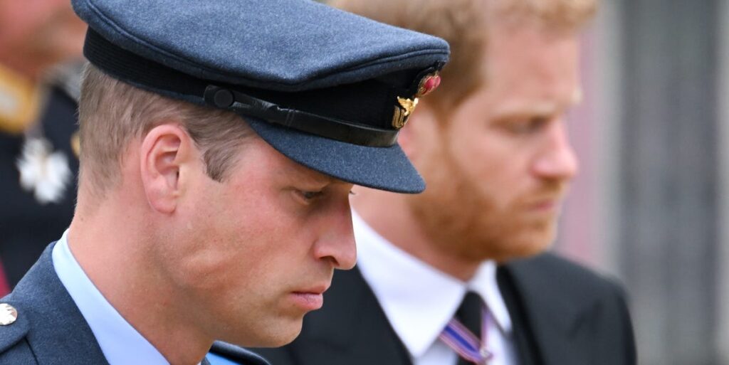 Prince Harry, Prince William's Feud Traces to Princess Diana's Ring