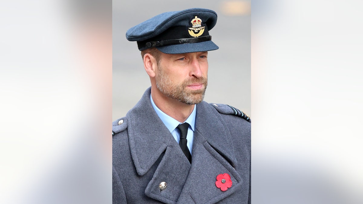 A close-up of Prince William in his uniform.