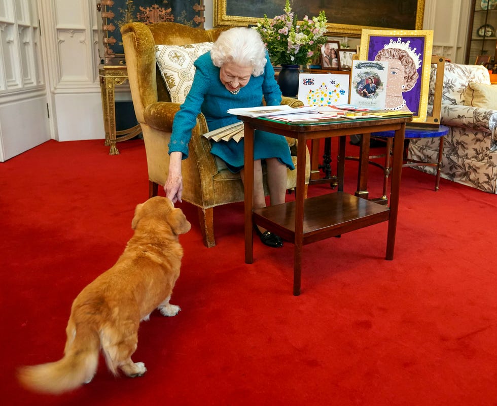 queen elizabeth ii views commemorative platinum jubilee items