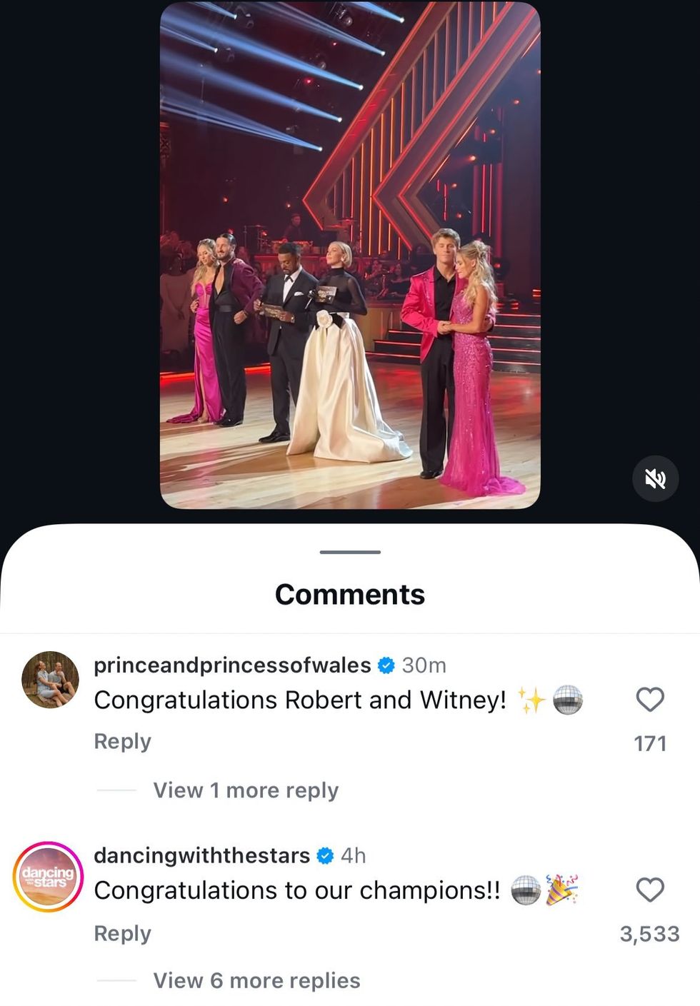 Robert Irwin