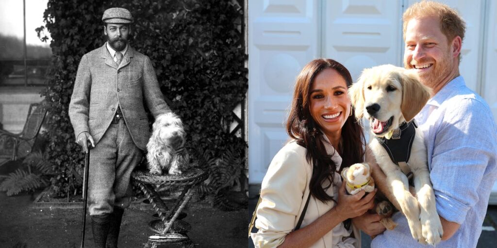 70+ Best Photos of the Royal Family with Dogs 70+ Best Photos of the Royal Family with Dogs
