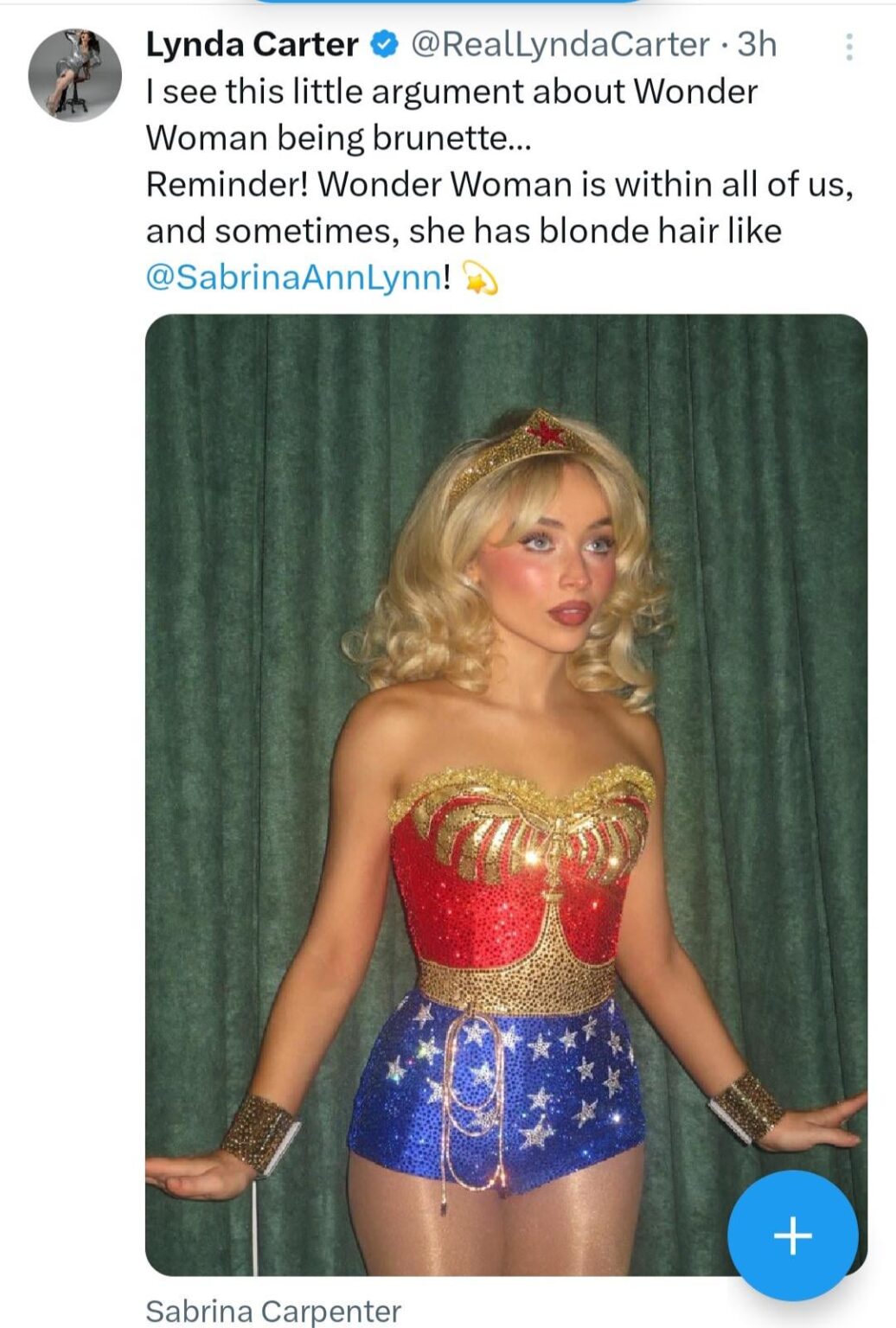 The iconic Lynda Carter told the absolute truth. Wonder Woman is a collective idea that changes shape from person to person