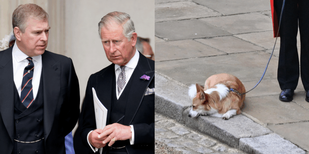 King Charles Trying to “Seize” Queen’s Corgis from Andrew King Charles Trying to "Seize" Queen's Corgis from Andrew