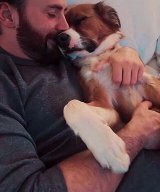 10 years ago Chris Evans adopted his dog Dodger