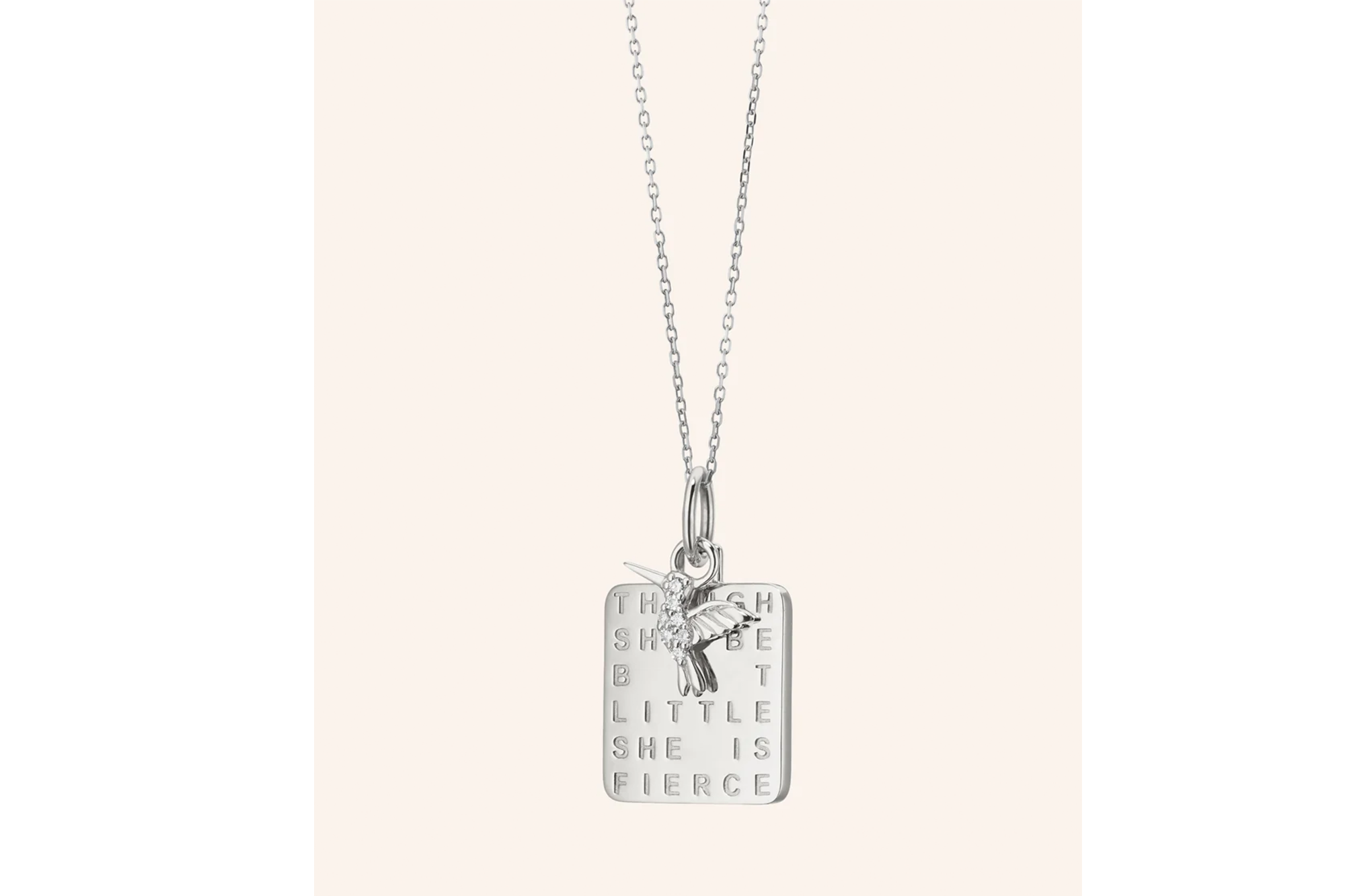 Silver necklace with a rectangular pendant that says "THOUGH SHE BE BUT LITTLE SHE IS FIERCE" and a small hummingbird charm.