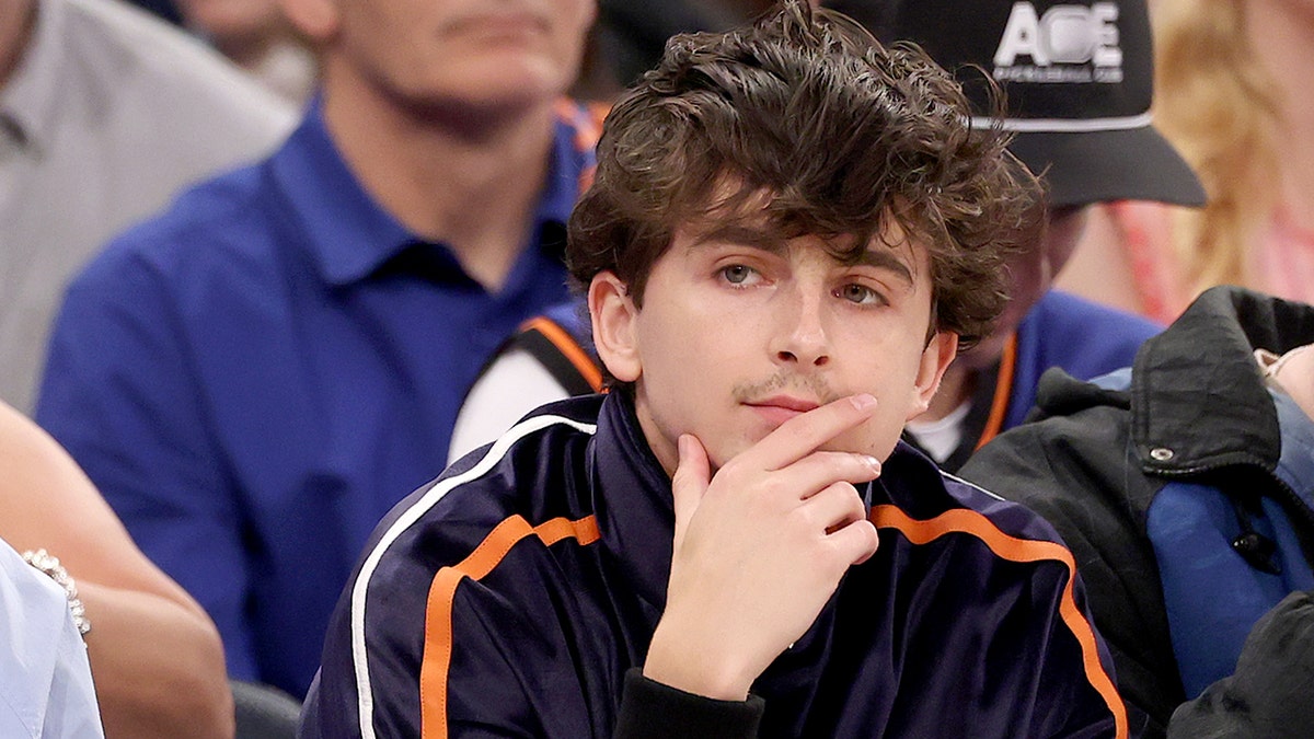 Actor Timothee Chalamet