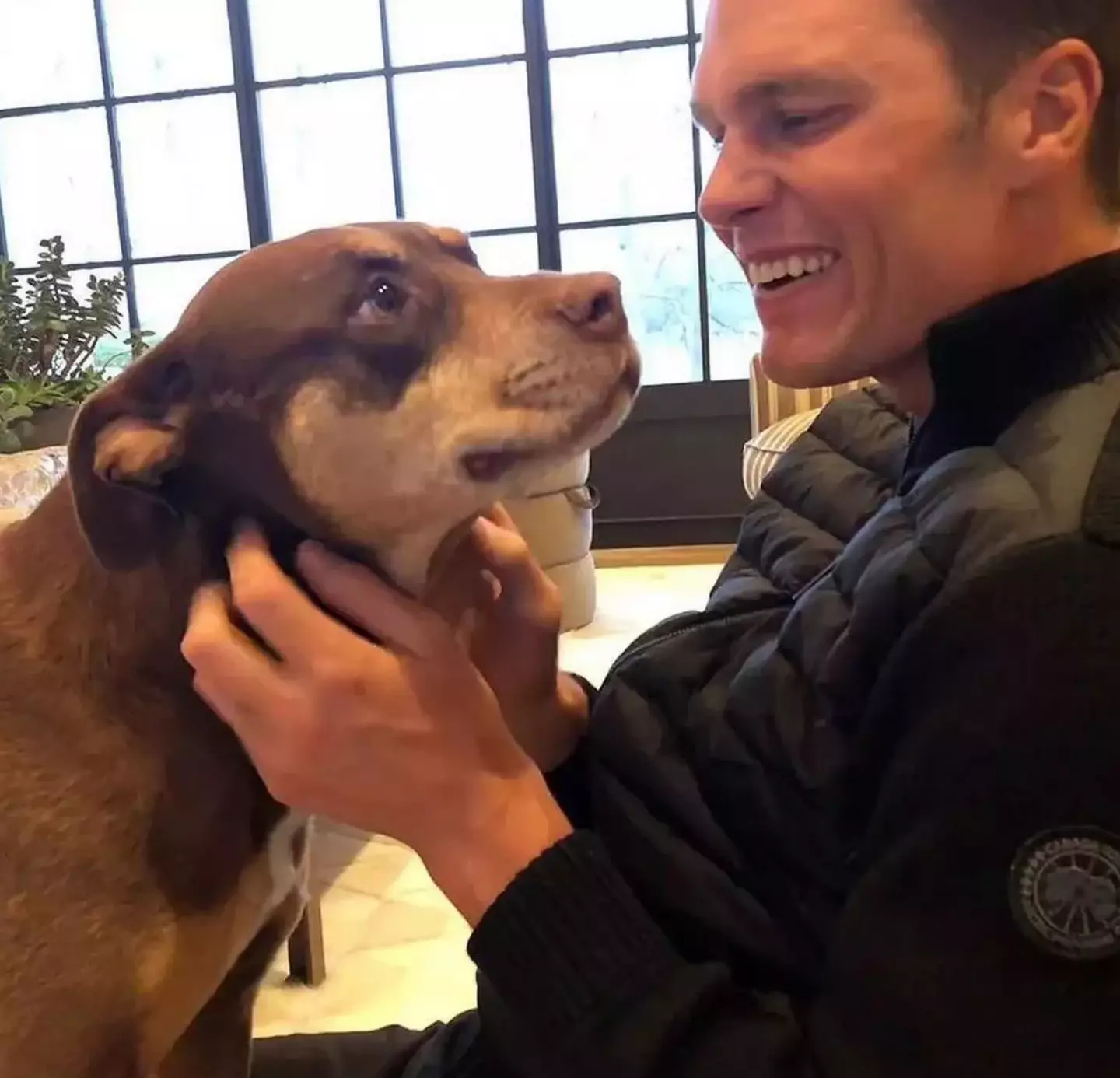 Brady confirmed that he'd cloned family pet Lua (pictured) to create new dog Junie (Instagram/@tombrady)
