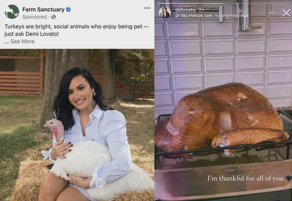 In honor of Thanksgiving, remember when a farm sanctuary posted a picture of Demi Lovato with a turkey (animal) just for her to post turkey (food)?