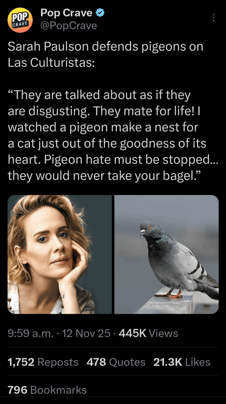 Sarah Paulson defends pigeons and calls to stop the hate against them.