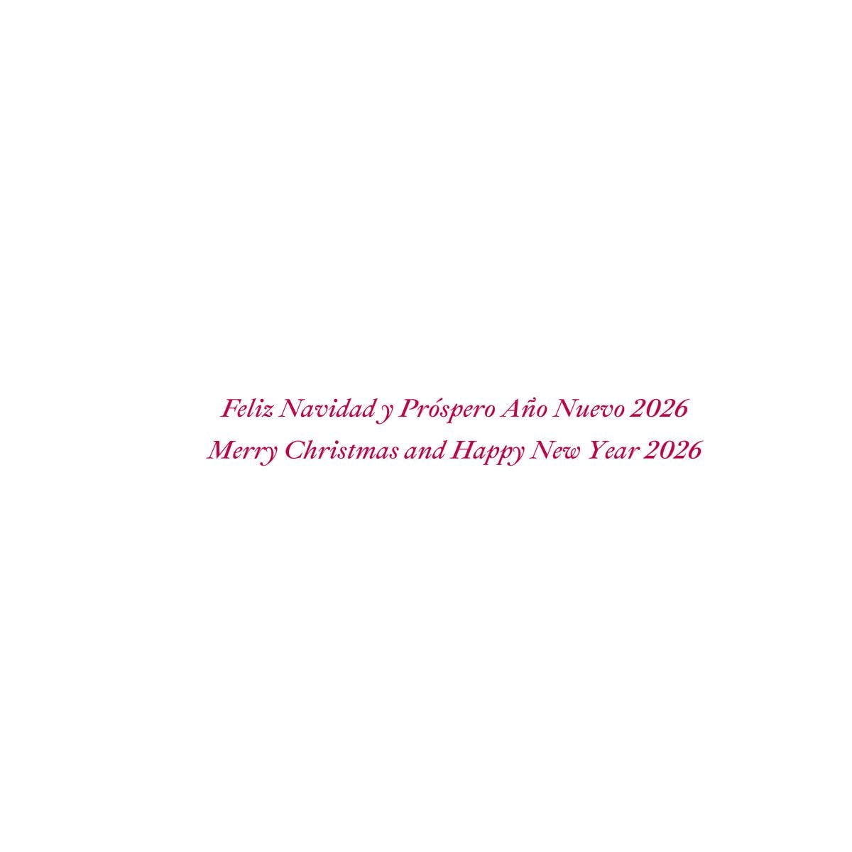 The Spanish royal family shares heartfelt moments and traditions in their 2025 holiday greetings