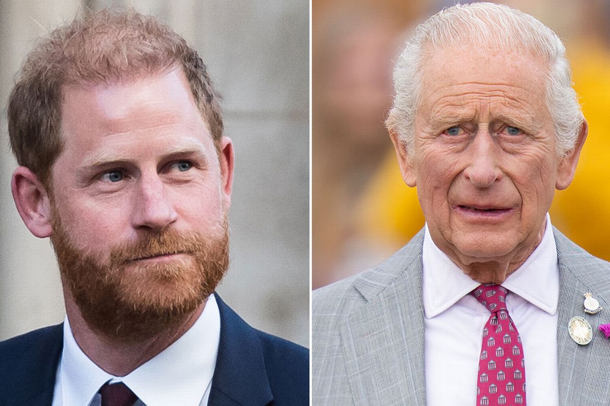 Prince Harry and King Charles