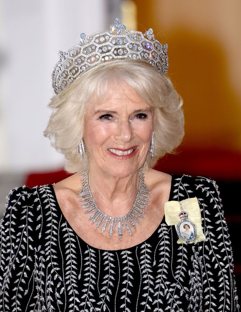Queen Consort Camilla poses at the Bellevue Palace ahead of a State Banquet on March 29, 2023 in Berlin, Germany. 