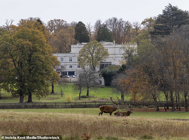 Andrew and his ex-wife Sarah Ferguson are gearing themselves up for one last Christmas at Royal Lodge before they are royally booted out
