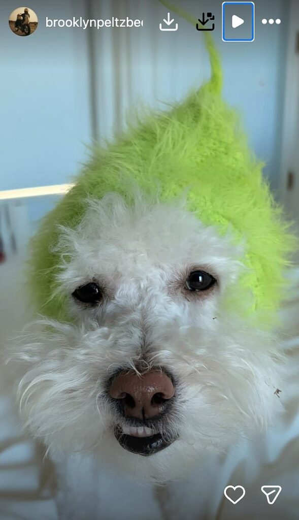 Brooklyn Beckham is a Grinch as he shares photo from LA home after skipping close pal Holly Ramsay’s wedding and his family Christmas Brooklyn Beckham has suggested he is feeling Grinch-like as he shared a picture of his dog dressed up as the character after skipping Holly Ramsay's wedding