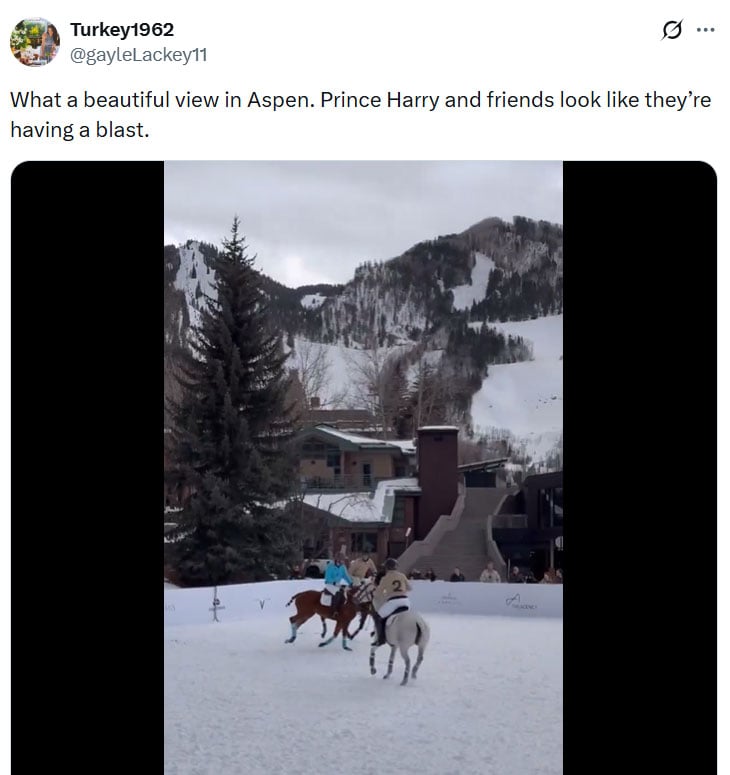 Prince Harry draws warm fan reaction after Aspen polo photos surface