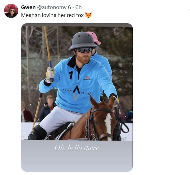 Prince Harry draws warm fan reaction after Aspen polo photos surface