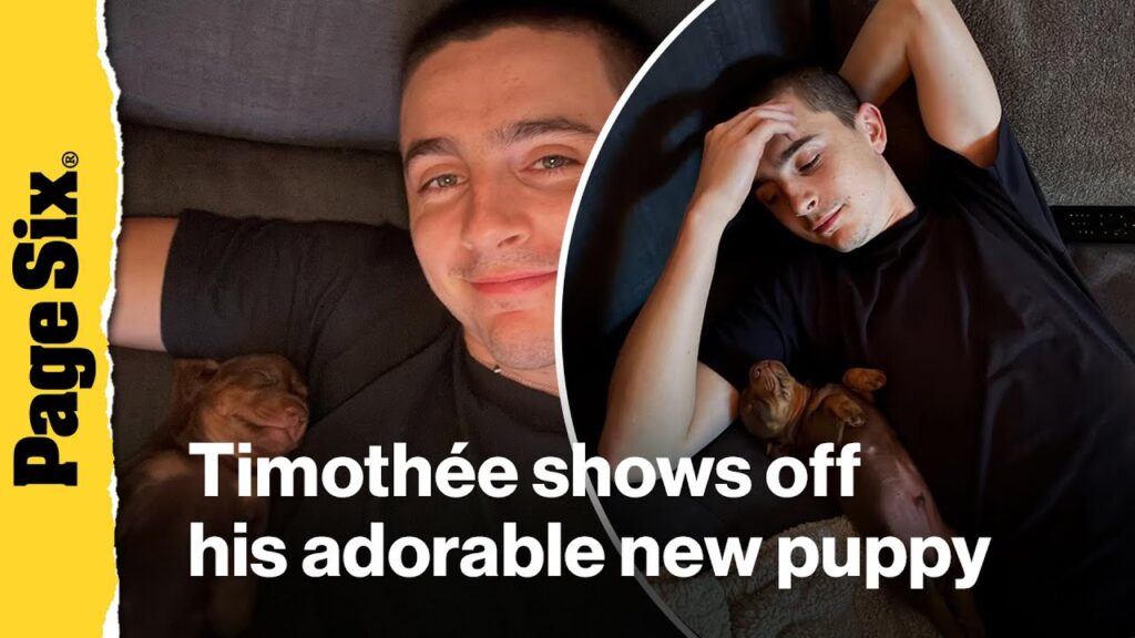 Timothée Chalamet introduces adorable new puppy