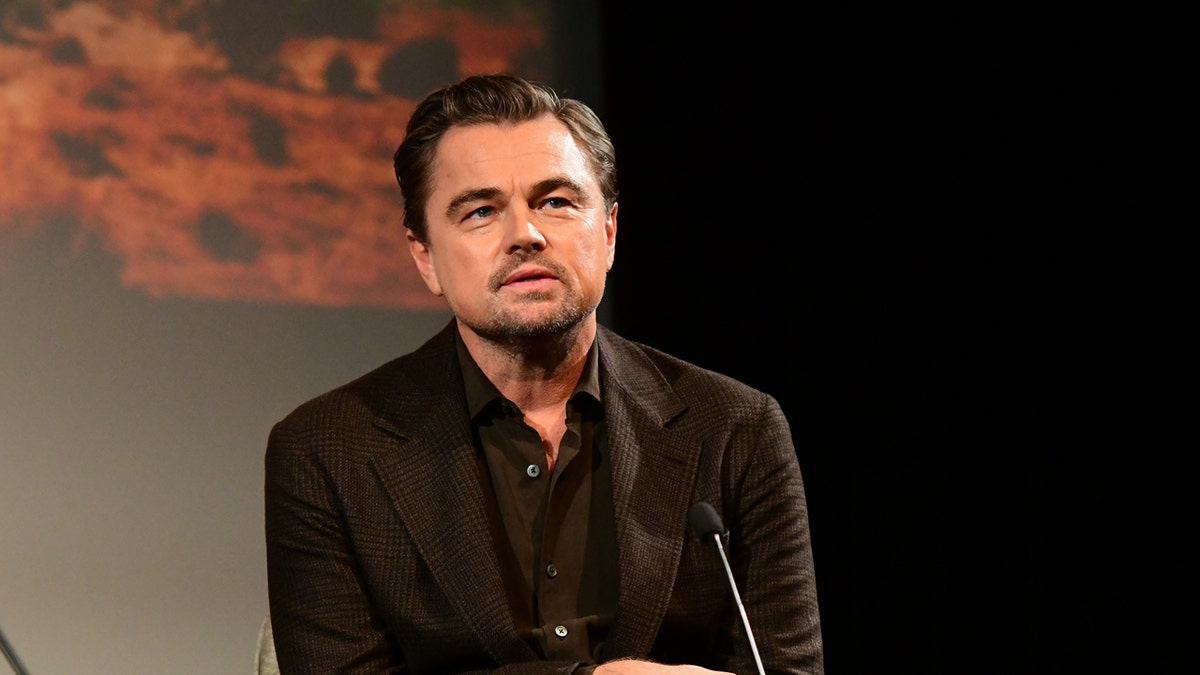 Leonardo DiCaprio sits on a panel
