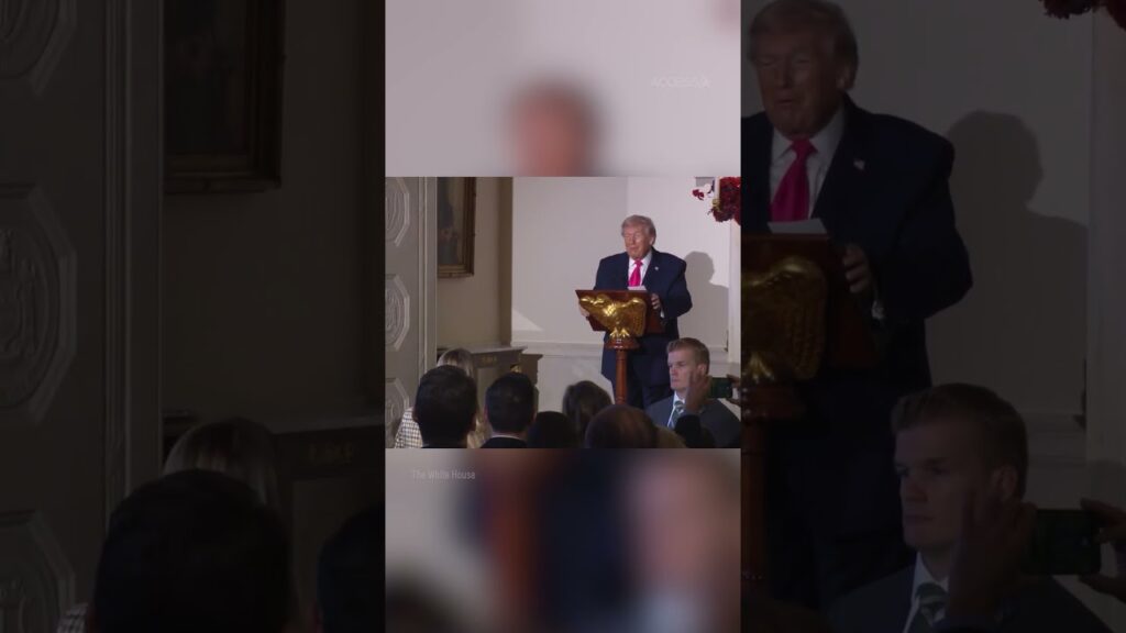 See Donald Trump STOP Speech To Address Ivanka Lookalike